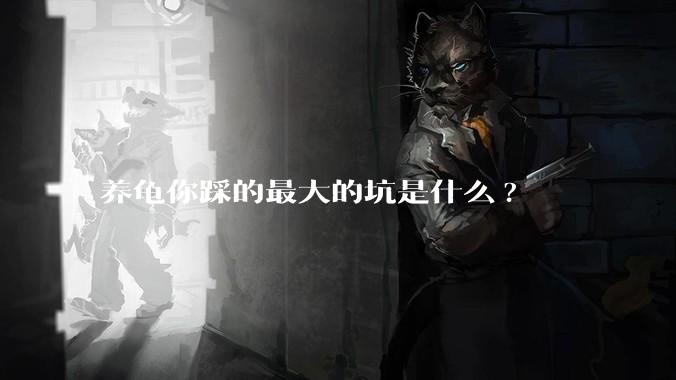 养龟你踩的最大的坑是什么?