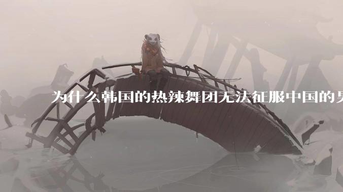 为什么韩国的热辣舞团无法征服中国的男性市场？？