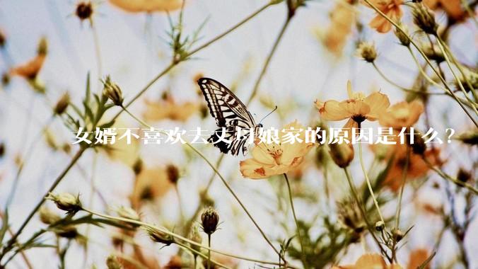 女婿不喜欢去丈母娘家的原因是什么？