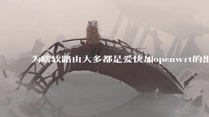 为啥软路由大多都是爱快加openwrt的组合，单openwrt有什么缺点嘛？